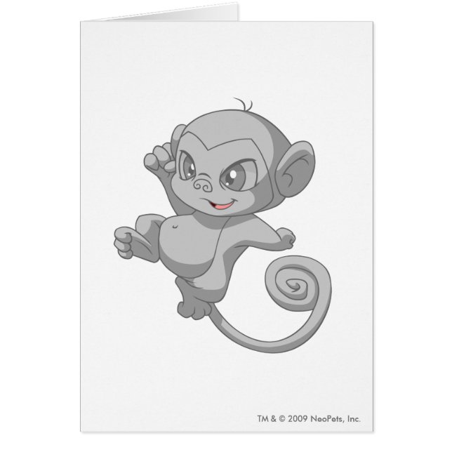 Mynci Silber (Vorne)