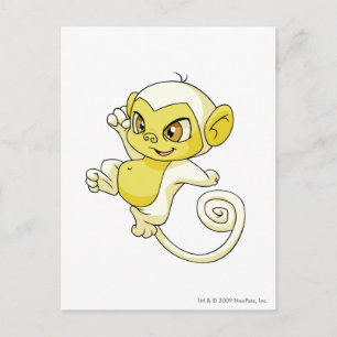 Mynci White Postkarte