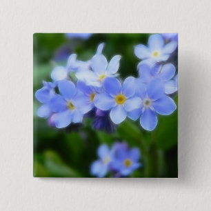 Myosotis sylvatica - Vergissmeinnichte Button