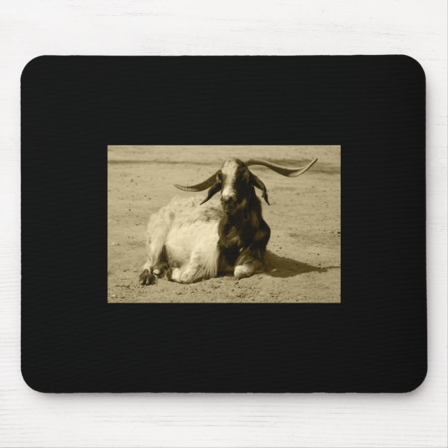 Myotonische Ziege Entspannte Benidorm-Lacksticker Mousepad (Vorne)