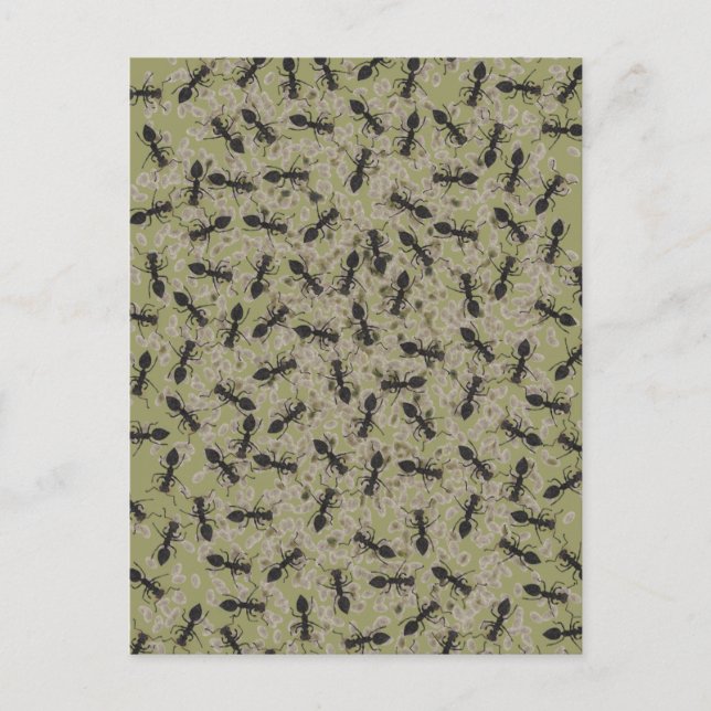 Myrmecophobie Postkarte (Vorderseite)