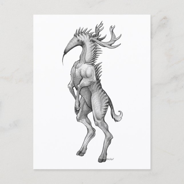 Myrmedeer - Postkarte (Vorderseite)