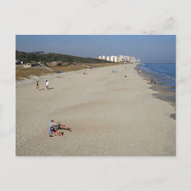 Myrtle Beach Staat Park, South Carolina Postkarte (Vorderseite)