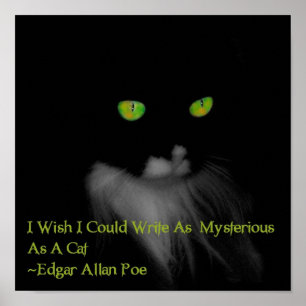 Mysteriöse Katze Poster