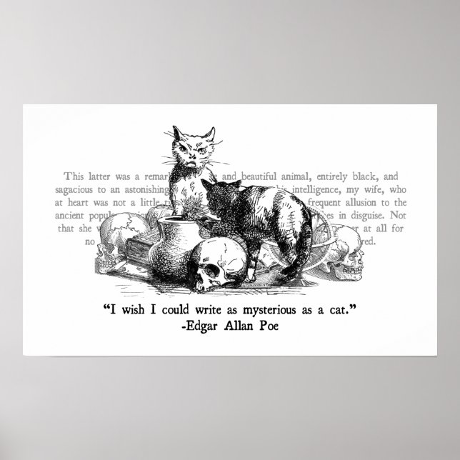 Mysteriöse Katzen Poster (Vorne)