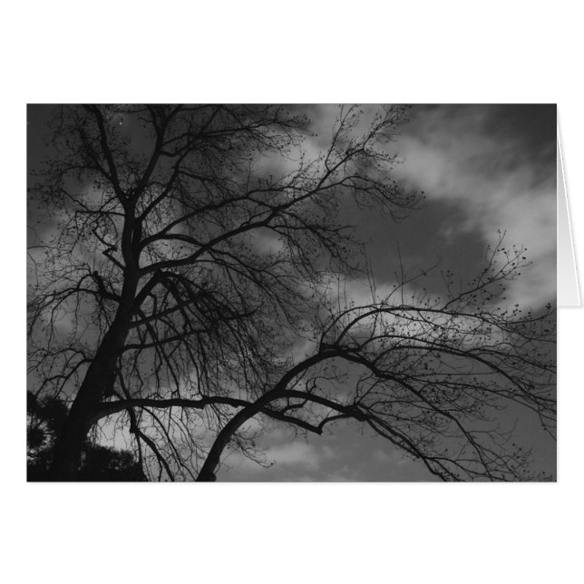 Mysteriöse Nacht (Vorderseite (Horizontal))
