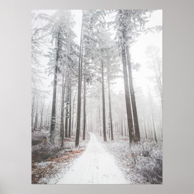 Mysteriöse Straße in einem gefrorenen Nebelwald Poster (Vorne)
