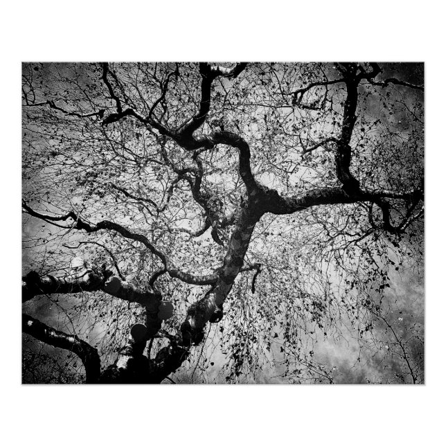 Mysteriöser Baum schwarz und weiß Poster (Vorderseite)