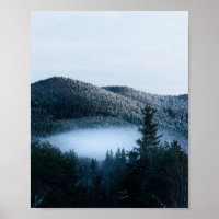 Mysteriöser Nebel, der im Wintersprudelwald gefang