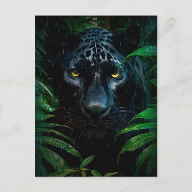 Mysteriöses Schwarzes Panther Jungle Wildlife Desi Postkarte (Vorderseite)