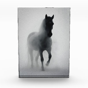 Mysteriöses Schwarzes Pferd, das aus dem Nebst auf Fotoblock