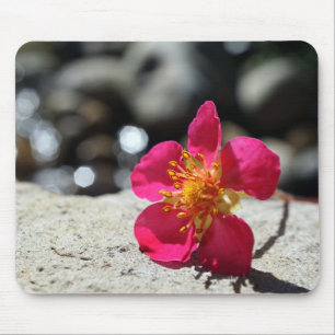 Mystery Pink-Blume Mousepad