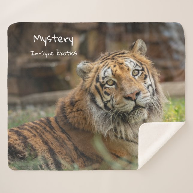 Mystery -  sherpadecke (Vorderseite (Horizontal))