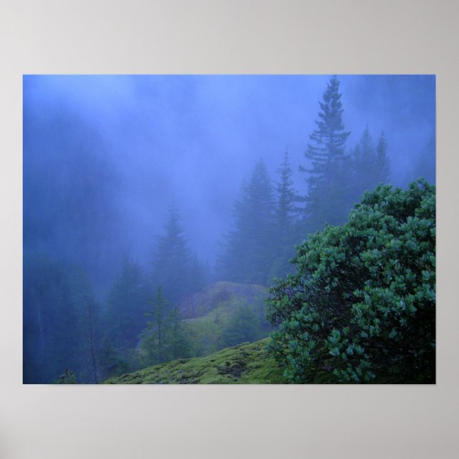 Mystery Trees Poster (Vorne)