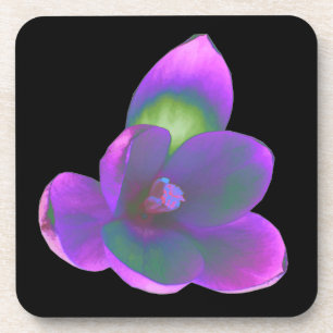Mystic Beauty Crocus Blume Cork Untersetzer