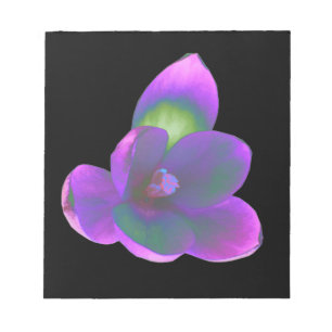 Mystic Beauty Crocus Blumen Notepad Notizblock