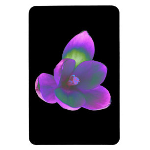 Mystic Beauty Crocus Flower Premium Magnet