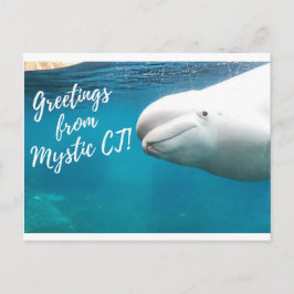 Mystic CT Post Card - Burger Post Art #004 unterze Postkarte