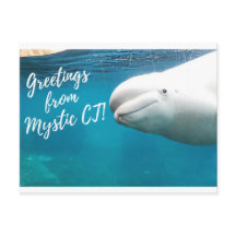 Mystic CT Post Card - Burger Post Art #004 unterze