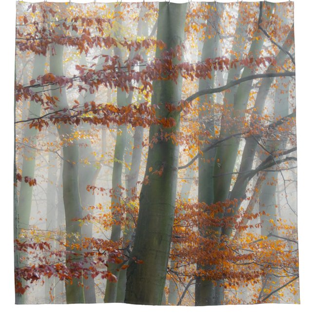 Mystic Foggy Forest im Herbst - Duschvorhang (Vorderseite)