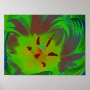 Mystic Green Tulip Poster
