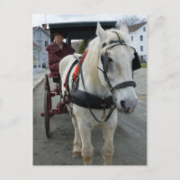 Mystic Horse Postcards