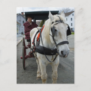 Mystic Horse Postcards Postkarte