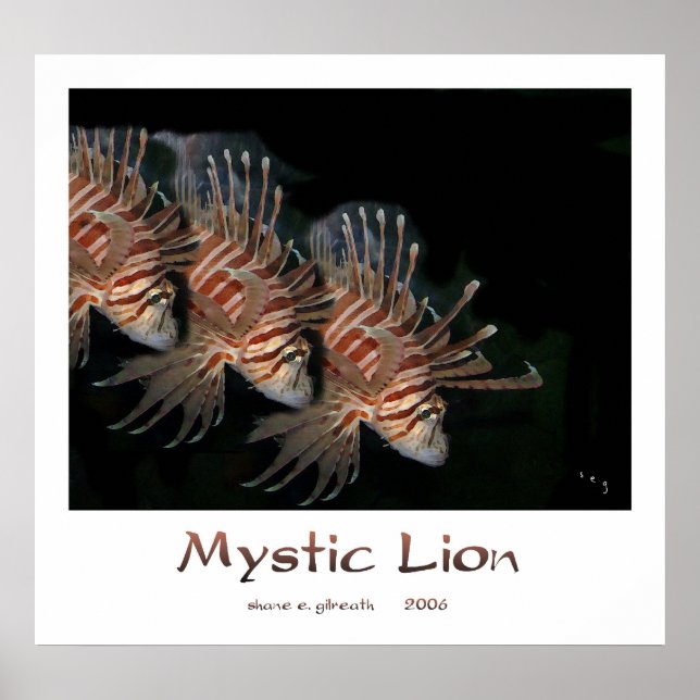 MYSTIC LION Art Print Poster (Vorne)