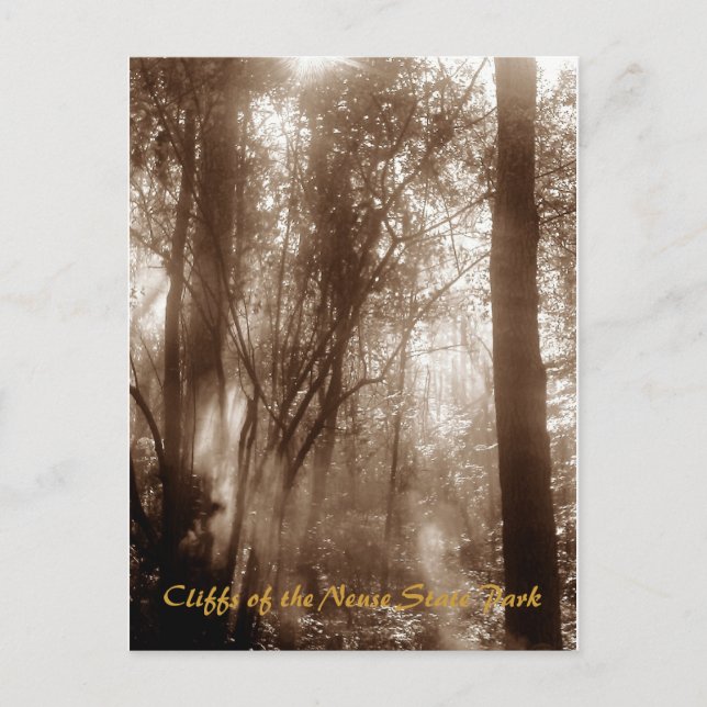 Mystic Morning CN1 - postcard Postkarte (Vorderseite)