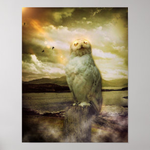 Mystic Owl Poster