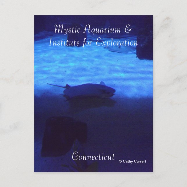 Mystic Postcard Postkarte (Vorderseite)