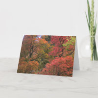 Mystical Autumn (3) Greeting Cards