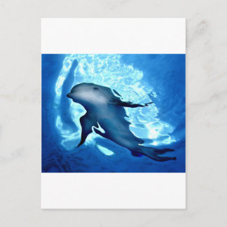 Mystical Dolphin.jpg Postkarte
