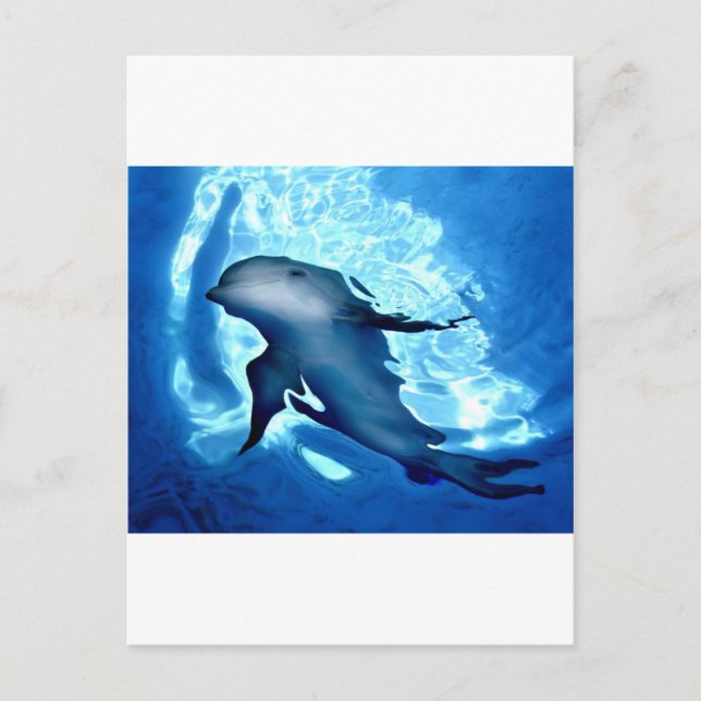 Mystical Dolphin.jpg Postkarte (Vorderseite)