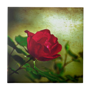 Mystical Garden Gotische Valentinstag Rote Rose Fliese