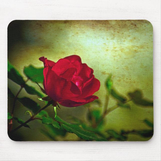 Mystical Garden Gotische Valentinstag Rote Rose Mousepad (Vorne)