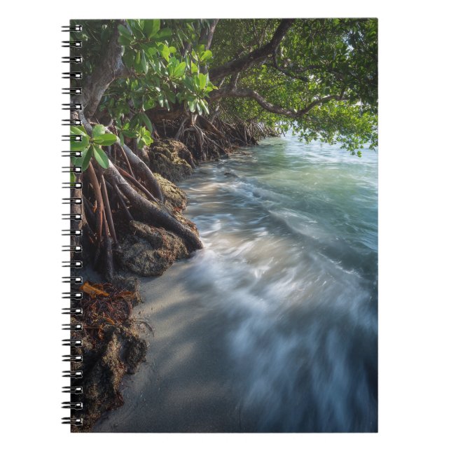 Mystical Mangrove Shoreline Ocean Scene Notizblock (Vorderseite)
