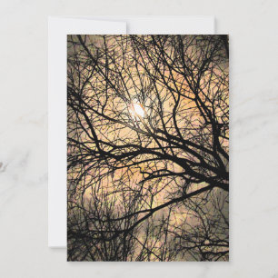 Mystical Moon Halloween Einladung