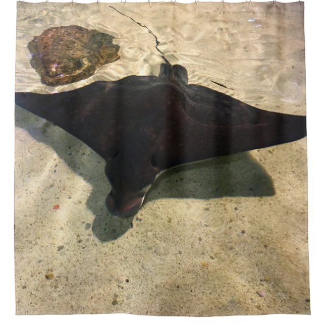 Mystical Stingray Duschvorhang (Vorderseite)