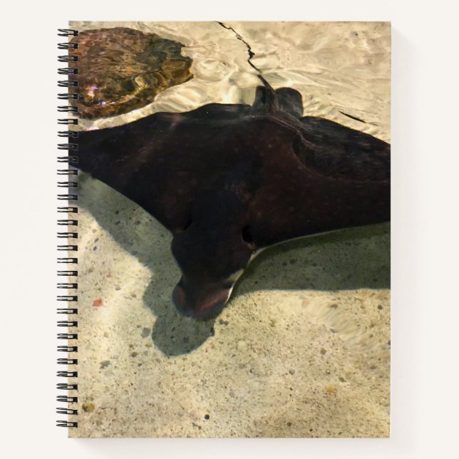 Mystical Stingray Notizbuch (Vorderseite)