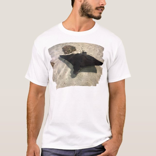 Mystical Stingray T-Shirt (Vorderseite)
