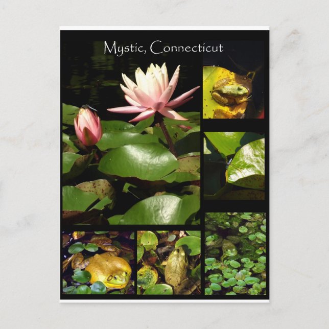 Mystik, Connecticut Postkarte (Vorderseite)