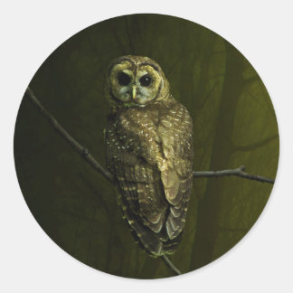 Mystique Owl Runder Aufkleber