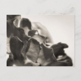 Mystisch Postkarte