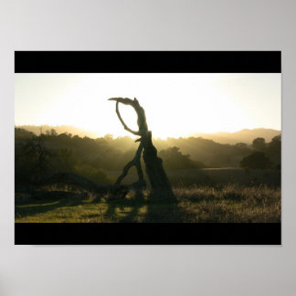 Mystische Offenbarung - Poster