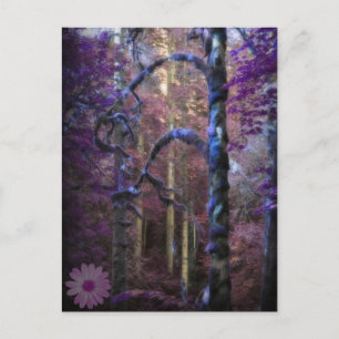 Mystische Purpurwald-Postkarte Postkarte