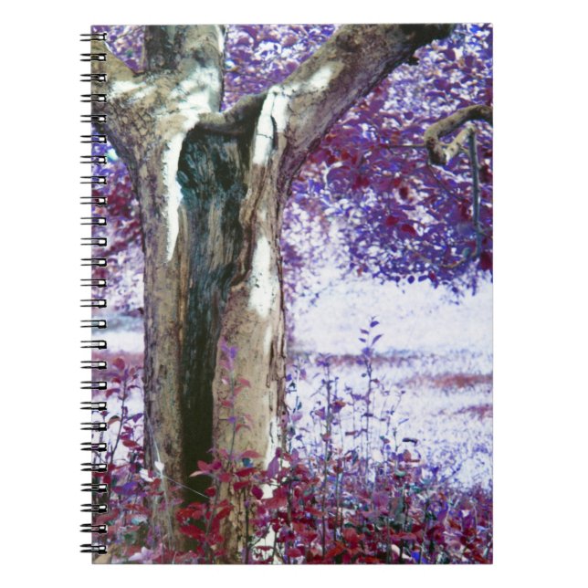 Mystischer Baum Notizblock (Vorderseite)