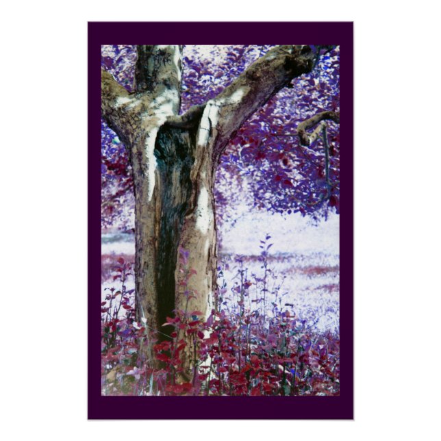 Mystischer Baum Poster (Vorderseite)