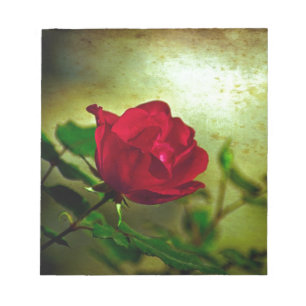 Mystischer Garten Gothik Valentinstag Rote Rose Notizblock