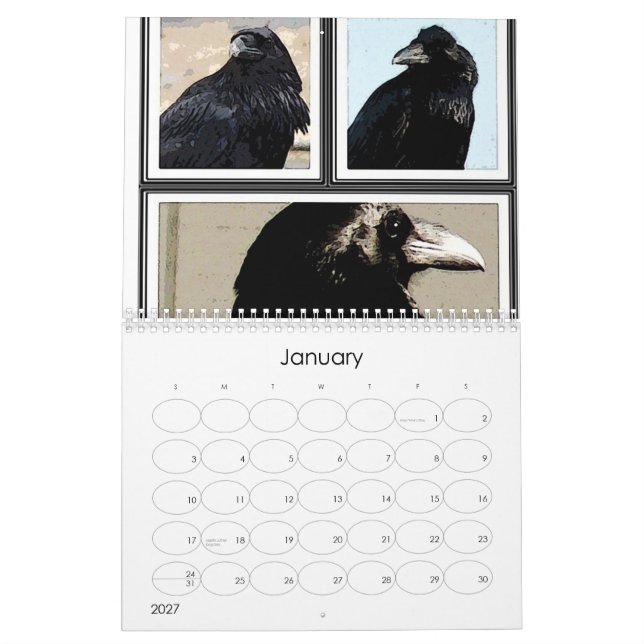 Mystischer Kalender des Raben-2013 (Jan 2027)